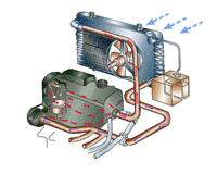 单击这里放大图象