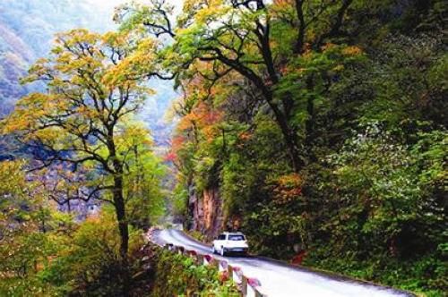 探秘林区 自驾旅游线路推荐之神农架