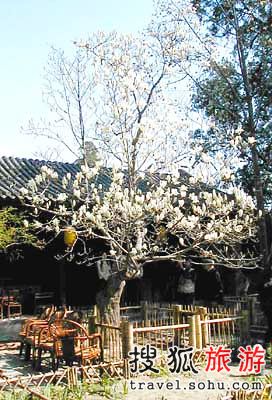 锦囊6：海淀西山——曲径穿村过