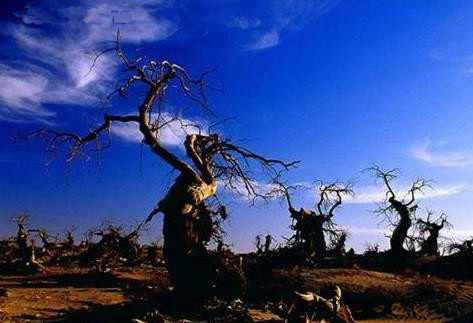 自驾畅游中国最后10处世外桃源(10)