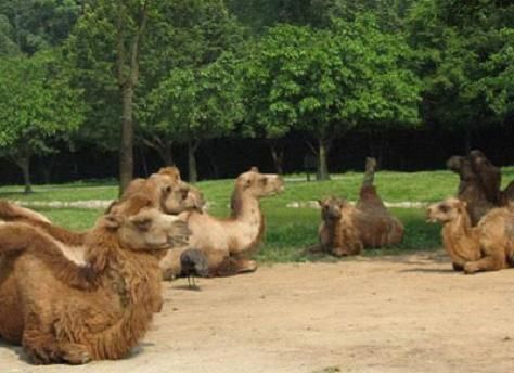 疯玩到底 亚运广州几大周边撒欢游推荐