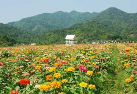 疯玩到底 亚运广州几大周边撒欢游推荐