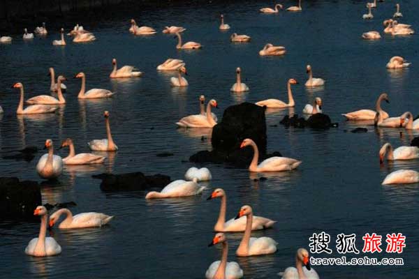 烟墩角的历史可追溯至5亿多年前