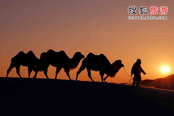 沙漠里寻找绿洲与神光