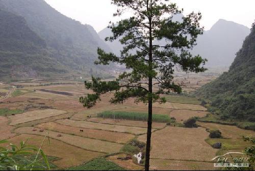 自驾游贵州:荔波的水 西江的寨\(4\)