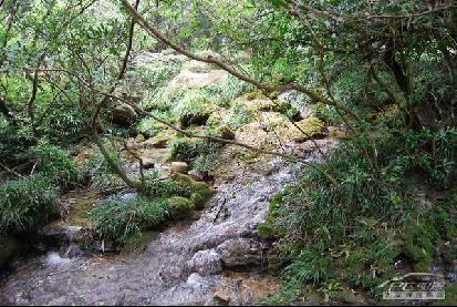 自驾游贵州:荔波的水 西江的寨\(4\)