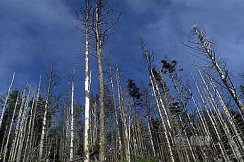 对车辆危害极大的四种恶劣天气