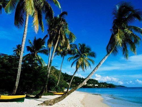 海南体味初夏温暖 海南自驾全攻略