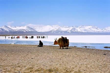 避暑自驾去西藏 在世界的尽头感受冷酷仙境