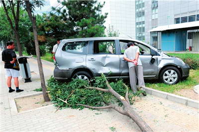 司机驾车撞树后突遭20余人围砍(图)