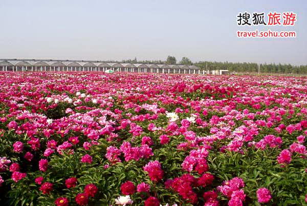 顺义三高科技农业试验示范区