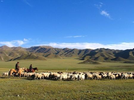 丝绸之路自驾游 从飞天敦煌到吐鲁番瓜果飘香 (2)