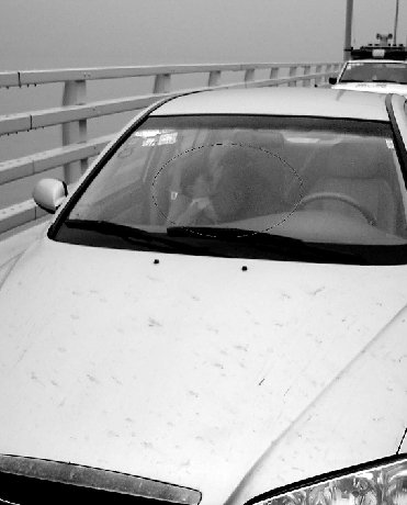 因在应急车道停车，被罚200元扣6分